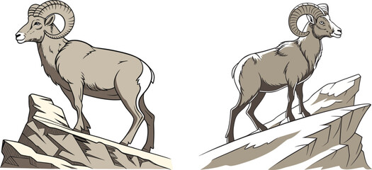 Two Bighorn Sheep Mountain Rams Standing on Rocky Peaks.