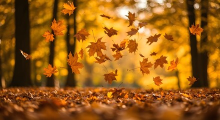 Camino oto&ntilde;al visto desde el aire