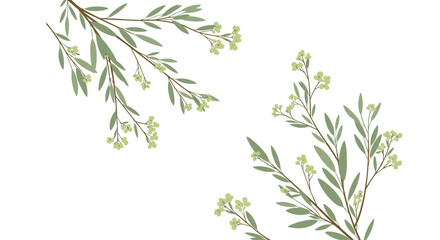 Naklejka premium Delicate branches adorned with tiny green buds reach outward.