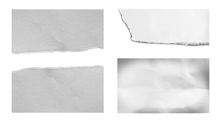 Set of ripped torn paper on white background.