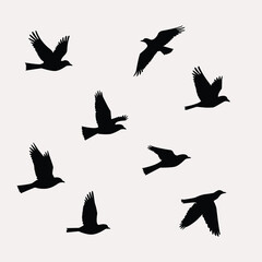 set of silhouettes of birds