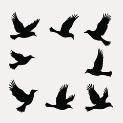 Obraz premium set of silhouettes of birds