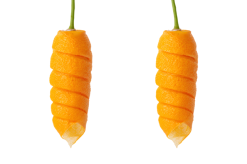 Creative Orange Peel Art Isolated on Black Background Showcasing Citrus Fruit and Innovative Food Presentation Perfect for Culinary and Design Projects