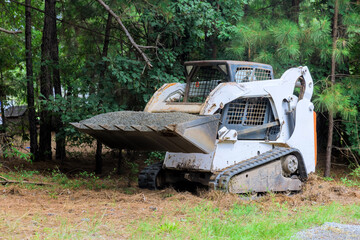 Compact loader removes debris clears land in forested area, showcasing equipment in action under...