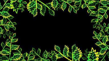 young lobed leaves green yellow color border and lot moving on the black isolated