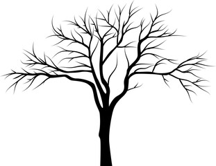Silhouette of a tree on isolated background. Highly detailed. 