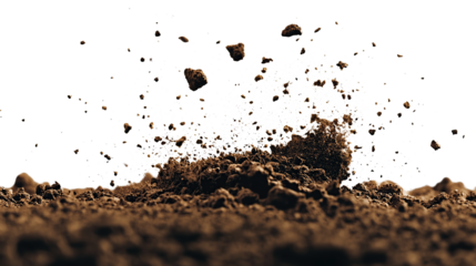 Realistic falling art dirt particles and dirt pieces on transparent background