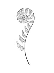 Black fern leaf outline pencil drawing isolated on white background. Botanical illustration. Botanical wall art poster.  © Helga