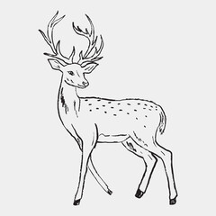 Hand drawn deer with horns standing. Vector sketch illustration in vintage crayon textured style. Wild forest animal design, winter, Christmas symbol