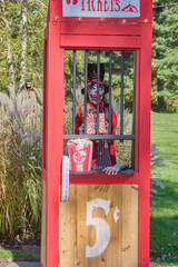 Halloween spooky characters