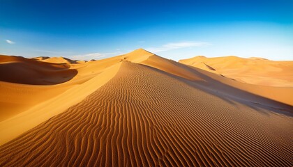 golden sand dunes and their mesmerizing textures