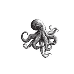 Vintage Engraved Octopus Illustration &ndash; Detailed Black and White Sea Creature Drawing
