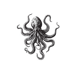 Vintage Engraved Octopus Illustration &ndash; Detailed Black and White Sea Creature Drawing
