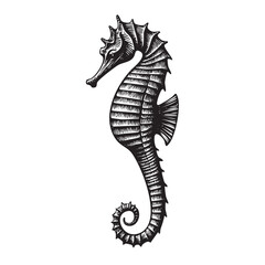 Vintage Engraved Seahorse Illustration &ndash; Antique Black and White Marine Animal Drawing
