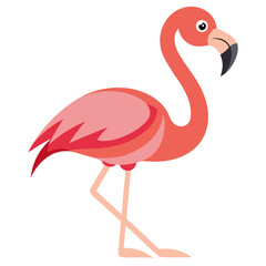 flamingo vector illustration
