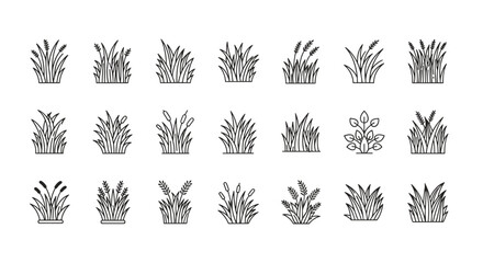 Big set of grass line icons. Reed, cattail, wheat, sedge, and lawn plant collection. Minimalist outline symbols for nature, garden, agriculture, ecology. Vector elements.