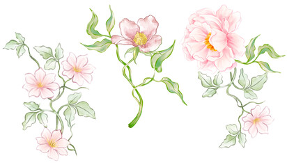 Watercolor floral bouquet illustration. pink blush flower green leaf leaves branches bouquet. Wedding stationary, greetings, wallpapers, fashion, background.
