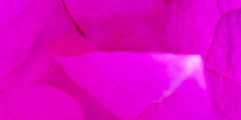 Vibrant Abstract Magenta And Pink Background With Subtle Texture And Light Effects