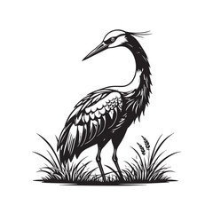 Exotic crane or heron bird
