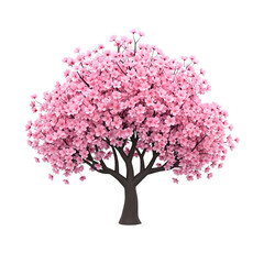 3d icon of blooming cherry blossom tree with pink flowers isolated on transparent background
