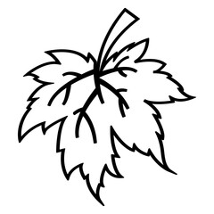 Minimalist Floral Art Collection