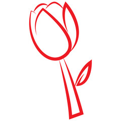 Minimalist Floral Art Collection
