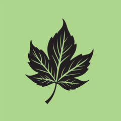 Minimalist Single Leaf Line Art Icon Elegant Botanical Nature Logotype Design