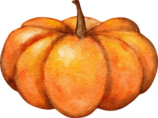Hand drawn illustration of fall autumn pumpkin in yellow orange. Sticker for halloween thanksgiving, cozy farm farmhouse cottagecore design, paint texture. Watercolor art design.