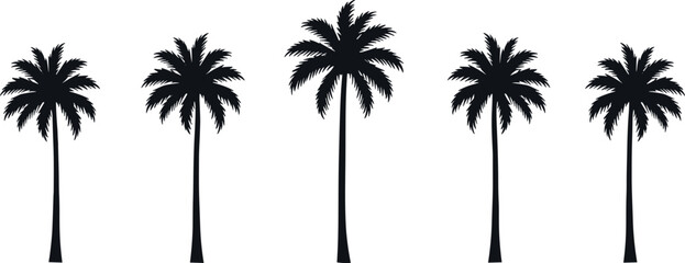 palm, tree, tropical, summer, beach, exotic, nature, silhouette, paradise, vacation, holiday, landscape, minimal, vector, island,
palm tree, tropical beach, exotic nature, summer n