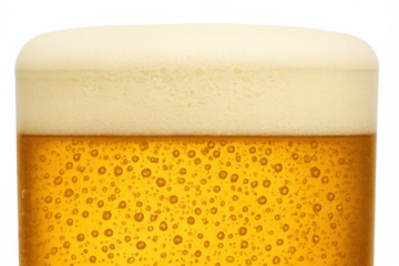 Glass of golden beer with foamy head, creating bubbles and condensation, on a transparent background