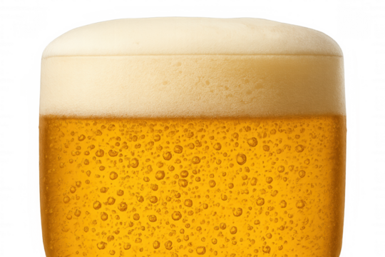 Close up of a golden lager beer with white foam head, showing carbonation bubbles, transparent background