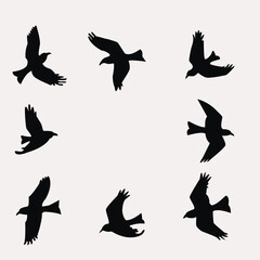 set of silhouettes of birds