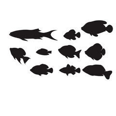 Fish silhouette vector set. Collection of aquatic animal shapes, black fish icons, marine life illustration and  underwater wildlife design elements isolated on white background