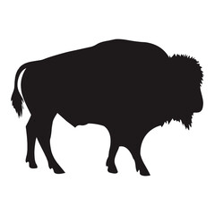 Bison silhouette vector illustration. Wild animal symbol, buffalo shape and wildlife design element. Black silhouette of bison isolated on white background