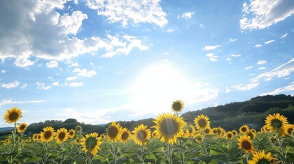 Sunny Spring & Summer Meadows: Yellow Sunflowers, Blue Skies, and Bees in Rural Flower Fields & Gardens