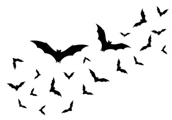 Fototapeta premium A flock of silhouetted bats flying in formation isolated on white background