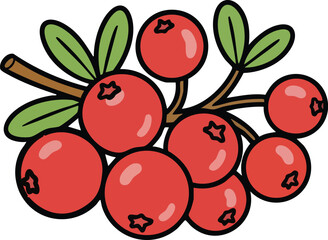 Obraz premium Cranberry berries vector illustration