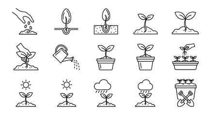 Plant growth stages icon set. Sowing seed, germination, watering, planting sprout. Gardening and agriculture life cycle infographic. Vector outline icons for cultivation process.