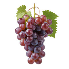 Fototapeta premium Ripe cluster of red grapes with green leaves isolated on dark backdrop for freshness isolated on transparent background