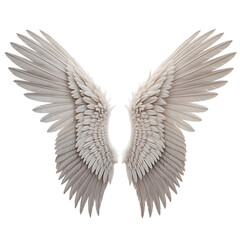 Obraz premium Majestic angel wings spread wide symbolizing freedom light purity and spiritual grace isolated on transparent background