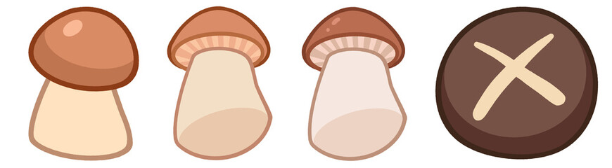 hand-drawn mushroom illustrations collection, hotpot japanese food, orinji mushroom, element set on transparent background