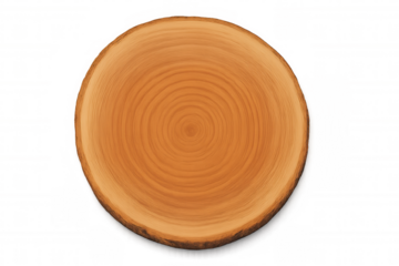 Wood slice cross-section revealing annual rings, natural timber texture on transparent background