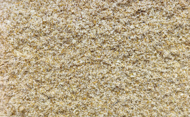 Photo of ground milk thistle