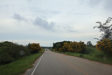 Fototapeta premium Scenic country road, peaceful rural setting with lush greenery and overcast sky, ideal for travel blogs and nature themes.