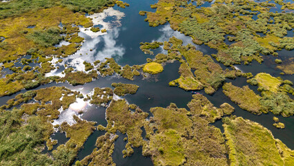 A bird's-eye view of Green Island on the lake