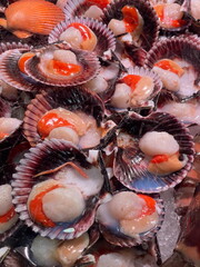Scallops in shells arranged on a market stall. Fresh and organic seafood, perfect for culinary and coastal food concepts.