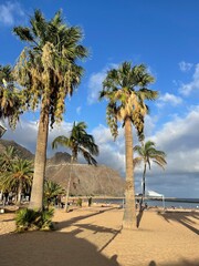 Tall palm trees on a tropical beach with golden sand. Idyllic coastal scenery, perfect for travel, relaxation, and summer getaway themes.
