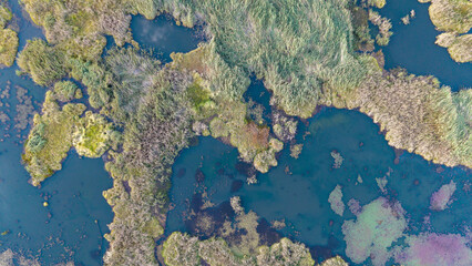 A bird's-eye view of Green Island on the lake