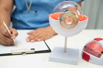 Asian doctor with eye human anatomy model for study diagnosis and treatment in hospital.
