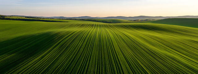 Rolling Green Fields: Vibrant landscape featuring undulating green fields with linear patterns, extending towards distant hills beneath a soft, open sky.